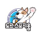 도그 스포지움 이미지