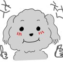 도기온 이미지