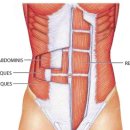 팰리스 피트니스 이미지