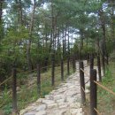 성동초교 이미지