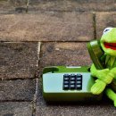 시소식당 이미지