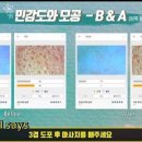 디렉터랩 이미지