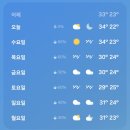 벨포레 모토아레나 방문