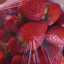 희수농장 이미지