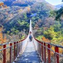 10월13일(화)파주시티투어 이미지
