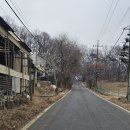 경기둘레길 김포3코스 | 경기둘레길 3코스 김포 *애기봉 입구~전류리포구* 평화의길=평화누리길 함께 (26.02.10)