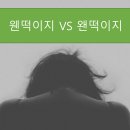 웬떡이야