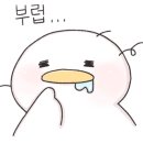 코코마 해피스튜디오 네이버블로그