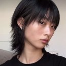 레이헤어 이미지