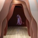 의림지역사박물관 이미지