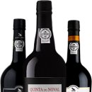 인문학과 와인세계 이미지