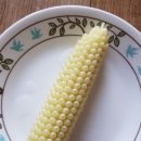 초당농장 이미지