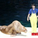 제주해양과학관 (아쿠아플라넷) 이미지