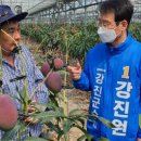 예산-30 이미지