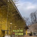 사노이가든2 네이버블로그