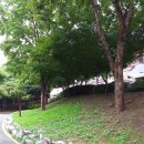 내삼어린이공원 이미지