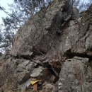 천일양봉 이미지