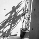 휘목미술관 이미지