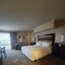 트레져 아일랜드 | 라스베가스 수영장 호텔 트레져아일랜드 2박 후기, 가격