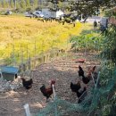 지혜민박 이미지