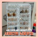 역전로 | 시흥 정왕동 배곧네일아트 &#39;네일인트&#39; 겨울 분위기 네일 후기