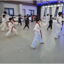 고려체대태권도 네이버블로그