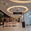 그린나래 | 울산시티컨벤션 그린나래 살펴본 후기! 오작교 연출로 더욱 로맨틱♥