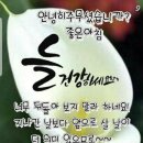 야외정원 스케치 이미지