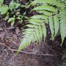 우성마취통증의학과의원 이미지