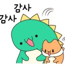 아멜리104(Ameli104)