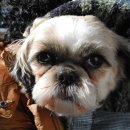 묘도민박 이미지