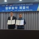 나봄