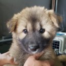 죽백2길 이미지