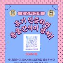 애니멀 라이프 이미지