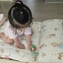 사계절이불 | 어린이집 낮잠이불 베베데코 일체형 모달 듀라론 사계절 이불 구매 후기