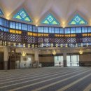 반딧불 프리미엄 이미지