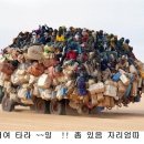 세상살이 이미지