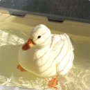 닭오리의 꿈 이미지