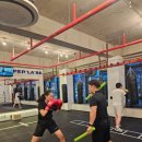 역동복싱 이미지