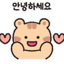 베스트홈케어 이미지