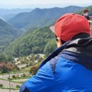 형제조류 이미지