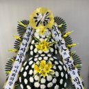 일산화환 전국화환 화환 명지병원장례식장