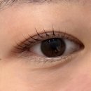 김해글로벗도서관 | 김해속눈썹펌 잘하는 곳 추천 삼계동속눈썹펌 시그널브로우 속눈썹펌 솔직후기