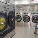 크린수유 이미지