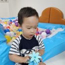 길따라꽃따라