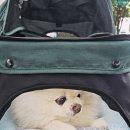 요커청담점