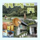 양평 대평 카페 문릿 고양이와 탁 트인 강의 조합이 좋은 곳