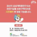 경산의 삽살개육종연구소 이미지