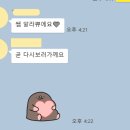 한양대학교 교육대학원 이미지