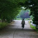 보고또보고 이미지